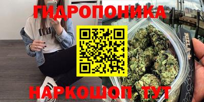 амф Партизанск