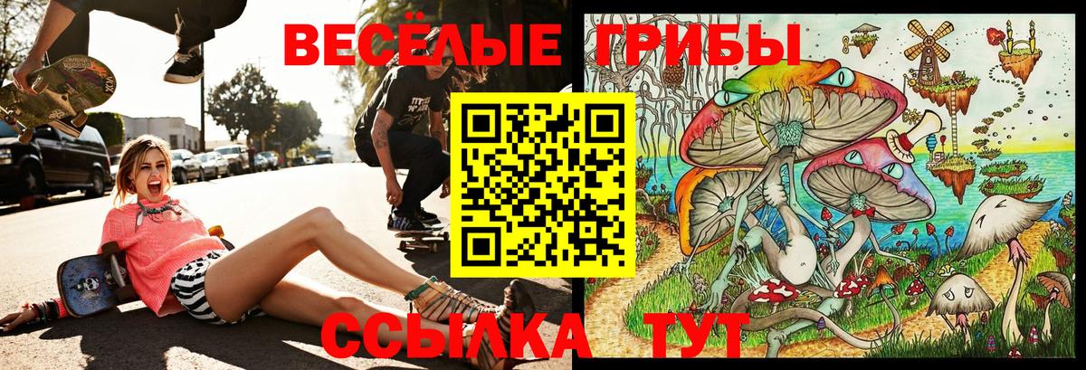 Заречный  Псилоцибиновые грибы мицелий  Вход с VPN  Галлюциногенные грибы Cubensis 