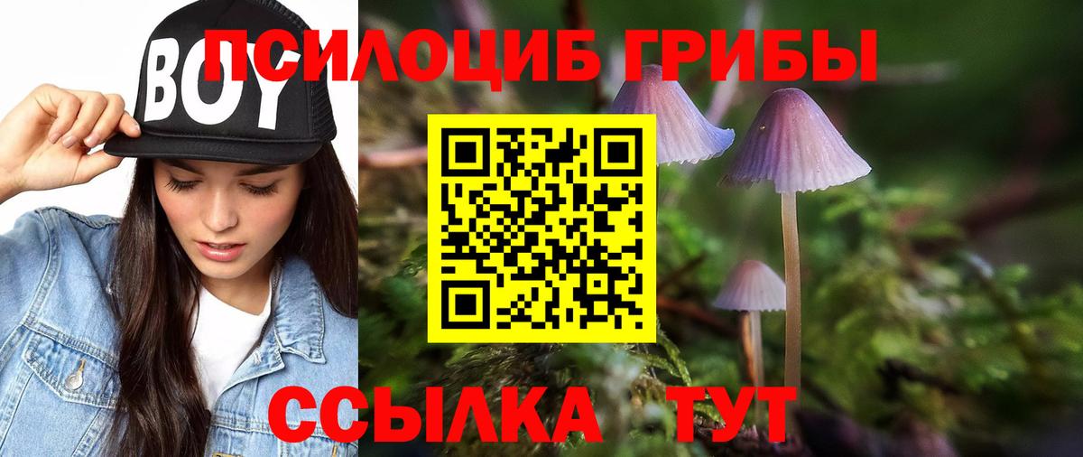 Псилоцибиновые грибы Psilocybe Заречный